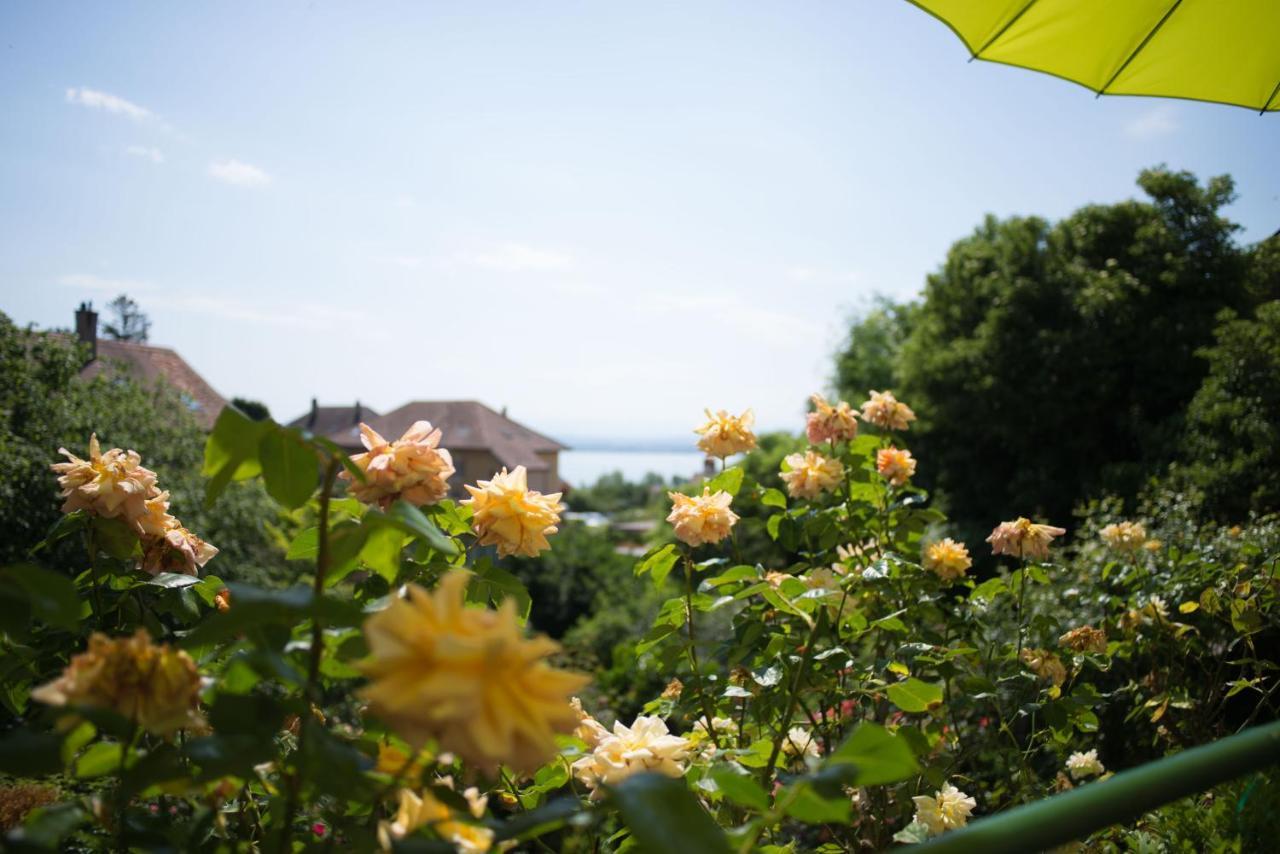 Hotel De La Beroche Saint-Aubin-Sauges Екстер'єр фото